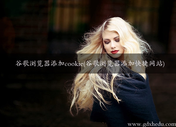 谷歌浏览器添加cookie(谷歌浏览器添加快捷网站)