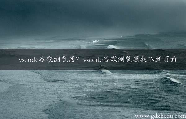 vscode谷歌浏览器？vscode谷歌浏览器找不到页面