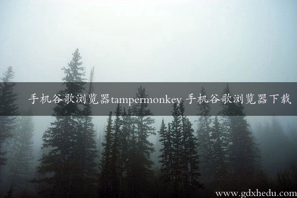 手机谷歌浏览器tampermonkey 手机谷歌浏览器下载