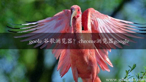 goole 谷歌浏览器？chrome浏览器google