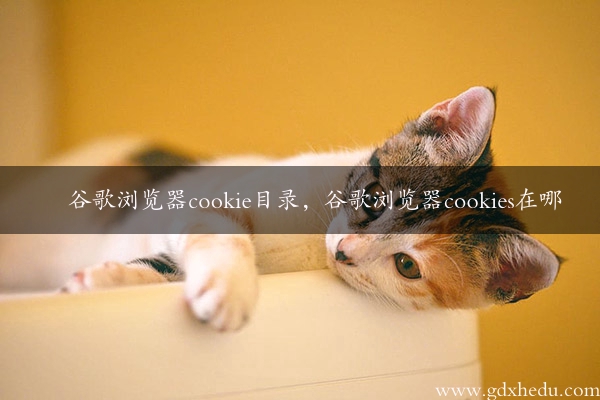 谷歌浏览器cookie目录，谷歌浏览器cookies在哪