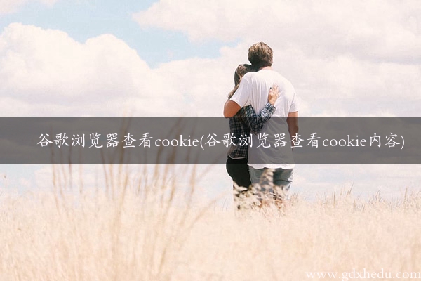 谷歌浏览器查看cookie(谷歌浏览器查看cookie内容)