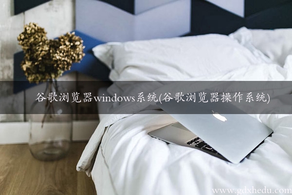 谷歌浏览器windows系统(谷歌浏览器操作系统)