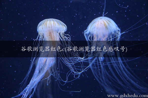 谷歌浏览器红色c(谷歌浏览器红色感叹号)