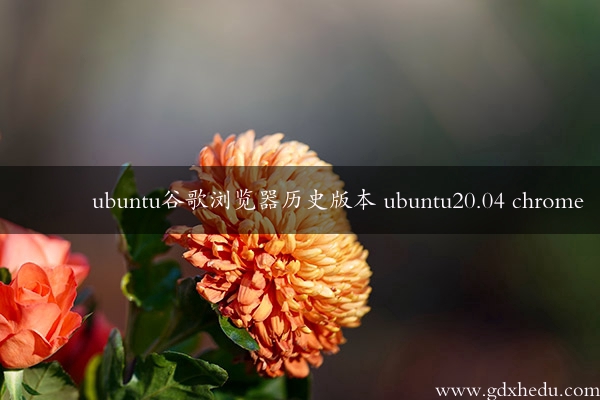 ubuntu谷歌浏览器历史版本 ubuntu20.04 chrome