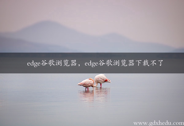 edge谷歌浏览器，edge谷歌浏览器下载不了