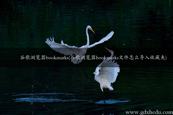 谷歌浏览器bookmarks(谷歌浏览器bookmarks文件怎么导入收藏夹)