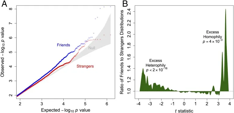 科学揭示：好朋友可能是基因选择的结果，耶鲁大学研究揭示朋友间的基因相似度  第4张
