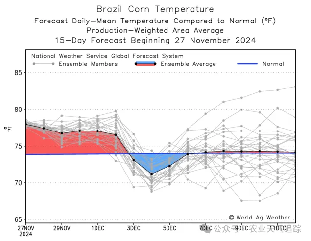 全球玉米种植分布及未来15天巴西与阿根廷降雨影响分析  第7张