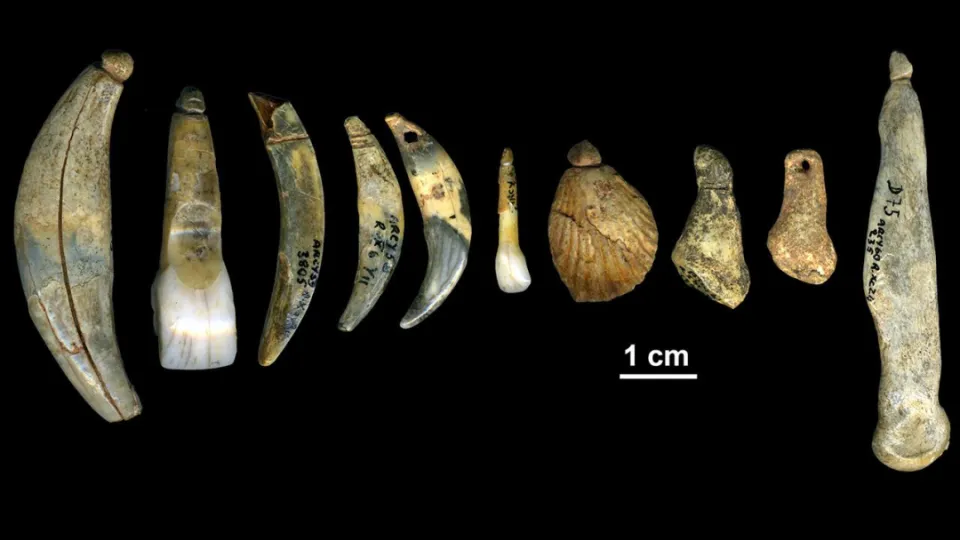 尼安德特人珠宝之谜：13万年前鹰爪饰品的发现与研究  第7张