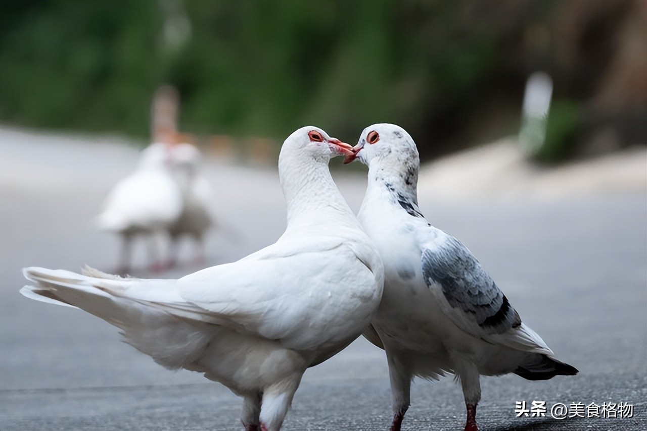 立冬养生指南：多吃海参等3种滋补食物，驱寒暖身，健康过冬  第11张