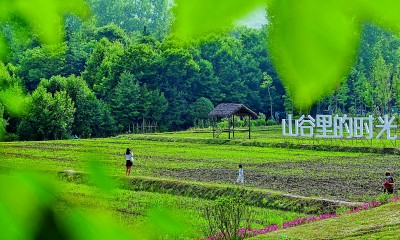 江苏南京浦口区响堂村：文化与自然的美丽交响曲  第3张