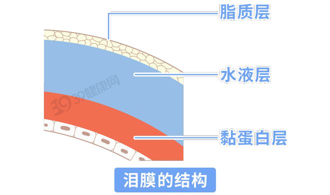 清晨状态揭示健康秘密：睡眠质量与潜在健康问题的关联  第8张