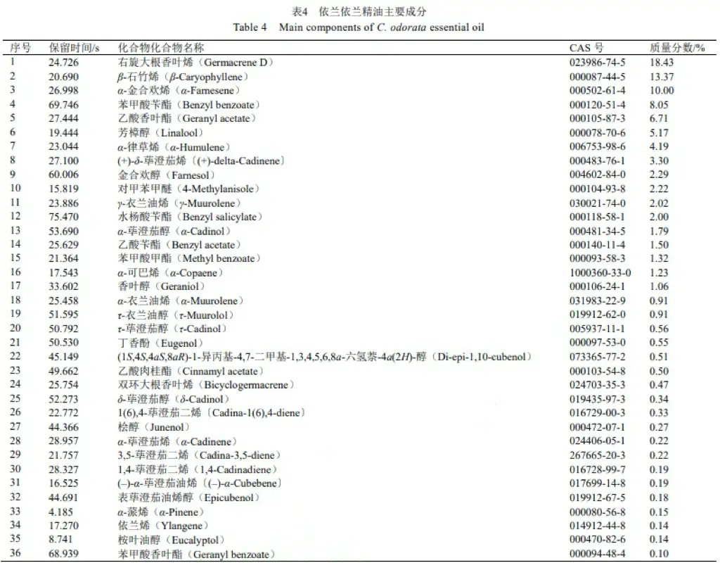 依兰花精油在沐浴露中的作用及催情传说解析  第6张