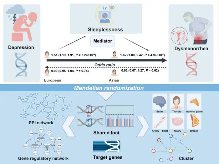 新研究发现抑郁症加剧痛经，孟德尔随机化方法揭示因果关系