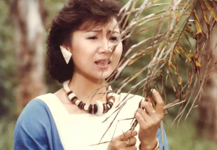 1985年央视春晚张德兰春光美一夜成名，1987年退出歌坛的传奇故事  第6张