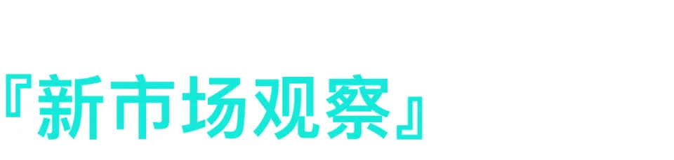 中国企业出海多元化发展：探索细分市场与新兴行业的全球增长路径  第3张