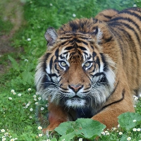 野生刺猬是保护动物吗 中国七大影视基地：无锡、横店、车墩、涿州、同里、镇北堡、焦作