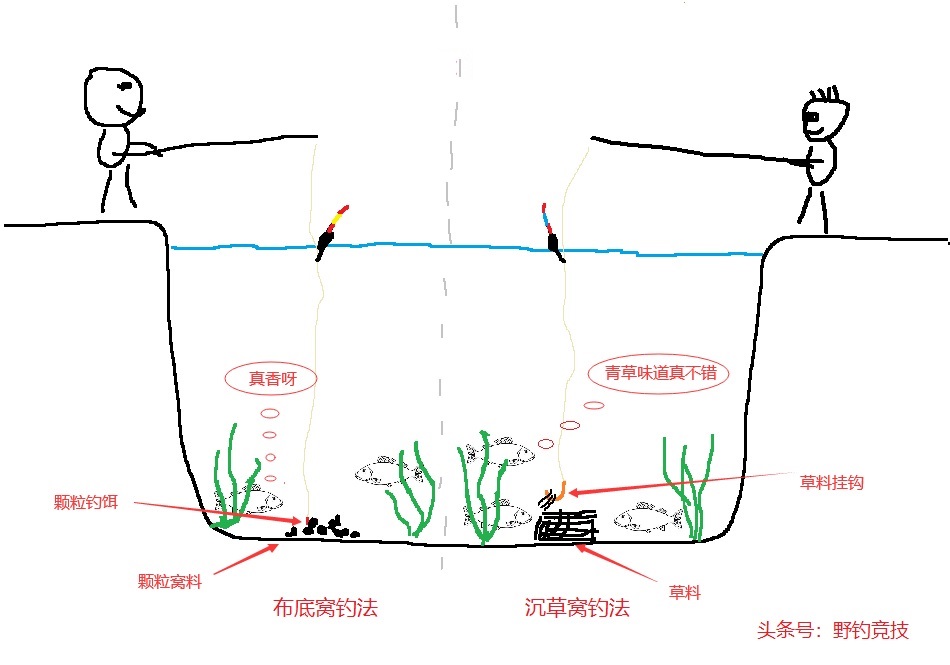 草鱼：淡水鱼种中的常客，垂钓者的心头好  第4张