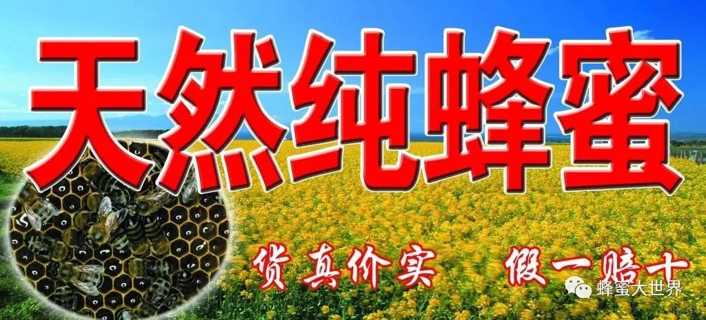 格鲁吉亚古墓出土 4000 年野果，为何能在蜂蜜中保存完好？  第2张