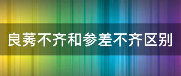 参差不齐与良莠不齐的区别及应用场景解析