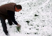 雪花的别名多出自古代诗人名句及其形状等相关知识  第7张