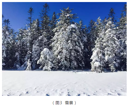 下雪让多地古城变身 快来一同了解雪的知识  第3张