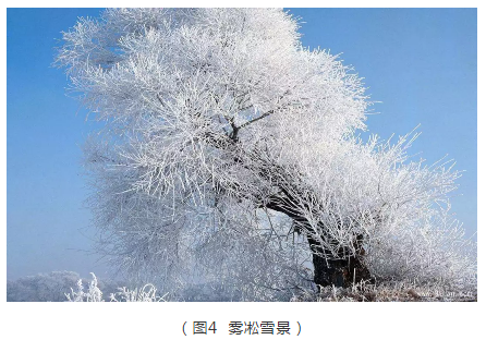 下雪让多地古城变身 快来一同了解雪的知识  第4张