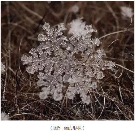 下雪让多地古城变身 快来一同了解雪的知识  第5张