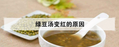 绿豆汤熬成红色的原因：豆皮酚类氧化、水质、锅盖和陈年绿豆等