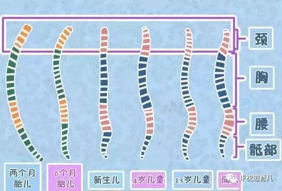 我国婴幼儿枕头使用不当危害多，六个月婴儿枕多高合适?  第5张