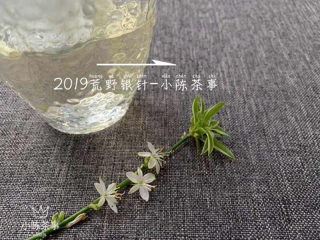 白茶在茶圈风生水起，不同阶段风情无限你可了解  第4张