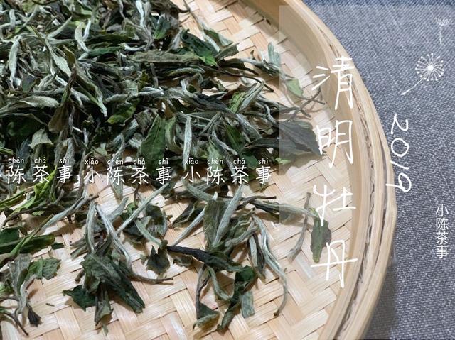 白茶在茶圈风生水起，不同阶段风情无限你可了解  第8张