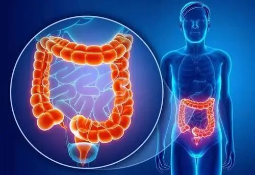 高纤维食物缓解便秘：改善肠道健康及便秘危害  第2张