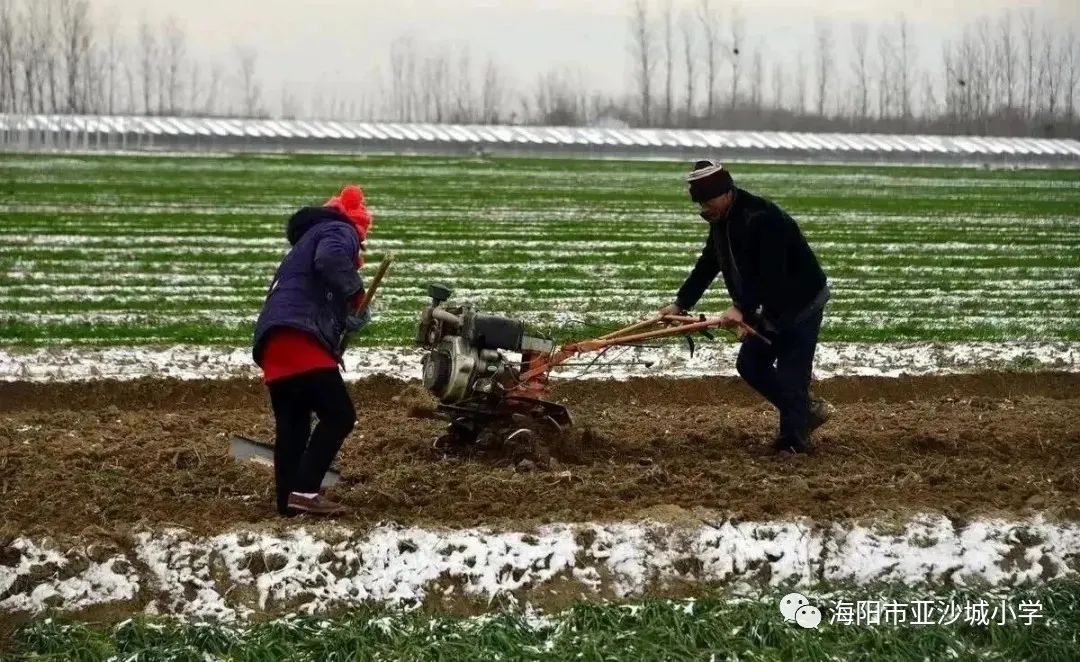 唐代戴叔伦小雪诗赏析：隔与不隔中的情志及小雪谚语