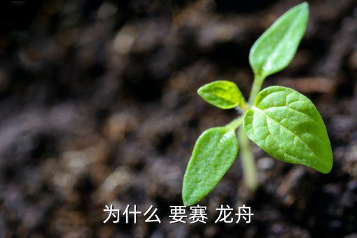 端午节赛龙舟的由来与意义：纪念屈原的传统习俗  第3张