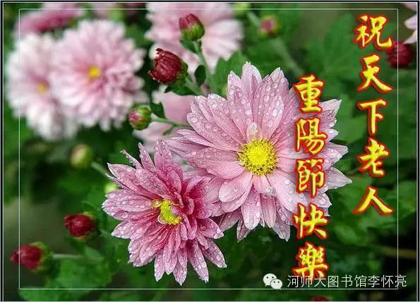 重阳节：传统节日与现代敬老文化的融合  第2张