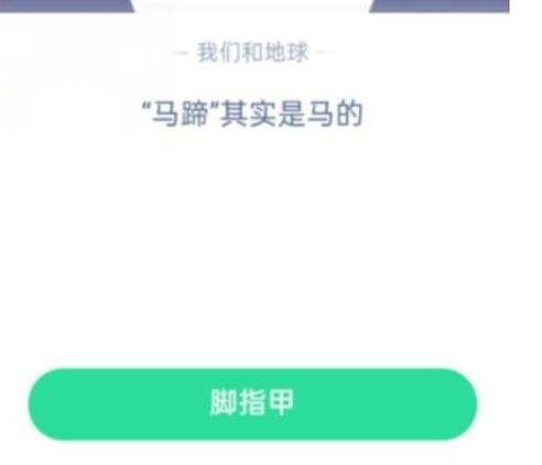 支付宝蚂蚁庄园小课堂2021年1月11日问题解析：明代瓜子文化与最古老乐器揭秘  第3张