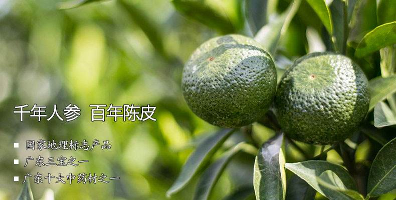 新会小青柑与普洱熟茶的完美结合：功效、作用及陈皮之乡的独特魅力