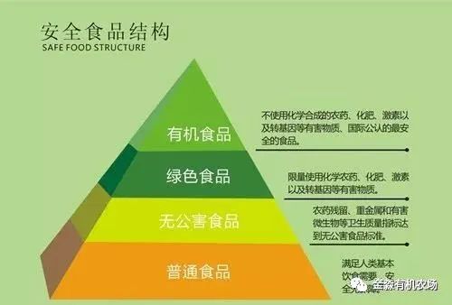 揭秘有机蔬菜真相：无公害、绿色与有机的区别与标准解析  第2张