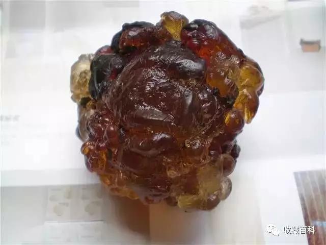 探索琥珀与蜜蜡的形成过程：从自然现象到人工加工的奥秘  第7张