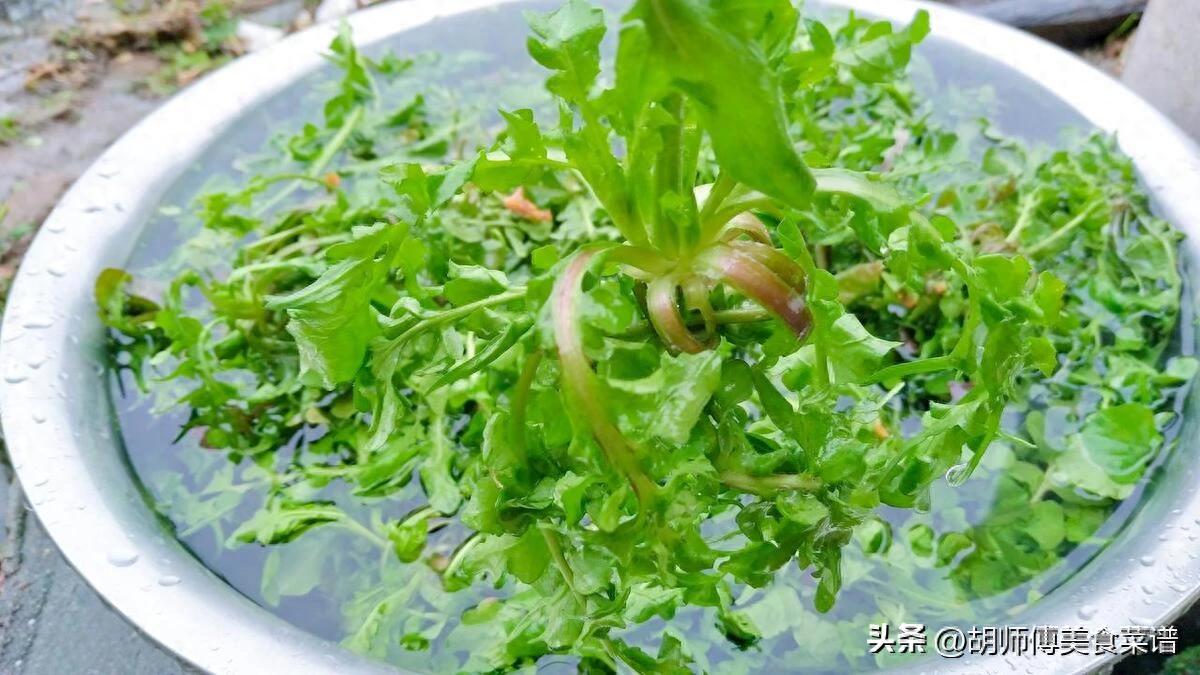 冬季健康饮食推荐：5种不打农药的蔬菜，菜农自吃，适合孩子多食用  第1张