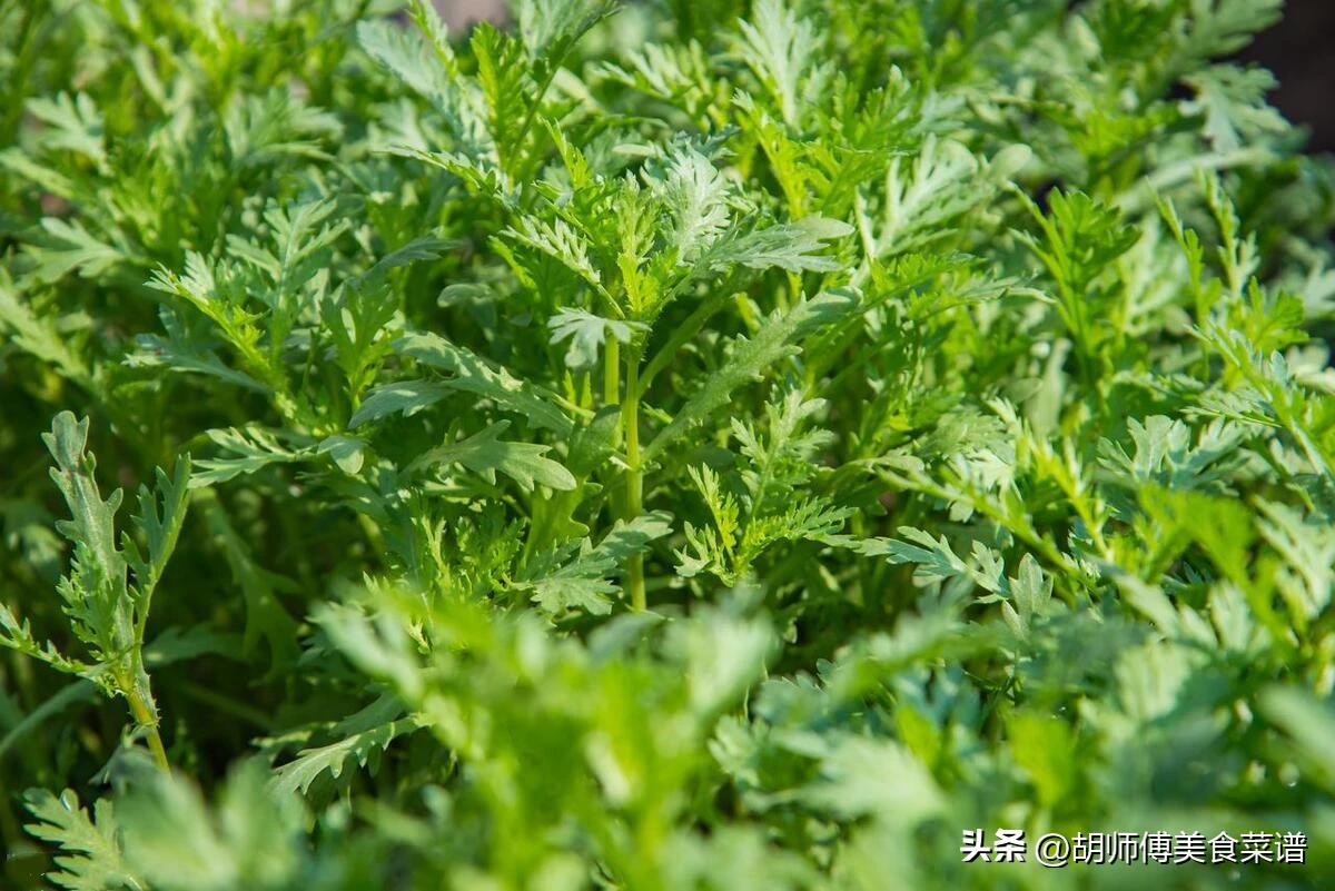 冬季健康饮食推荐：5种不打农药的蔬菜，菜农自吃，适合孩子多食用  第5张