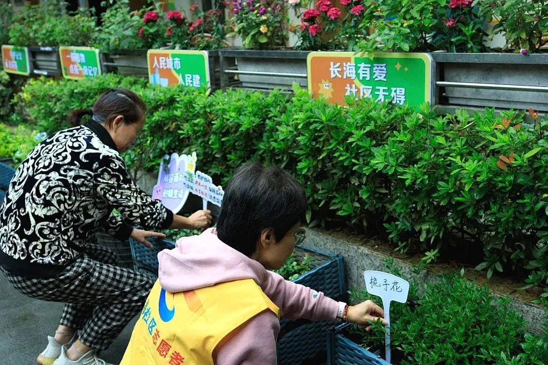 杨浦区四平路街道歌唱祖国歌咏比赛：居民黄女士见证城市变迁与幸福生活  第3张