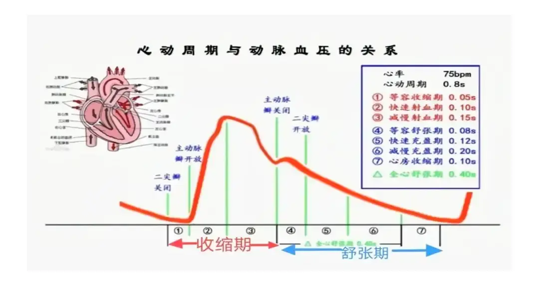 有创动脉压监测：实时准确监测血压波动，助力临床诊断与治疗