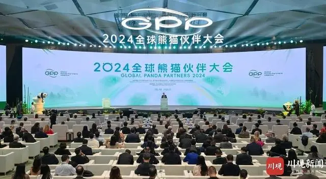 2024全球熊猫伙伴大会在成都开幕，聚焦人与自然和谐共生  第1张