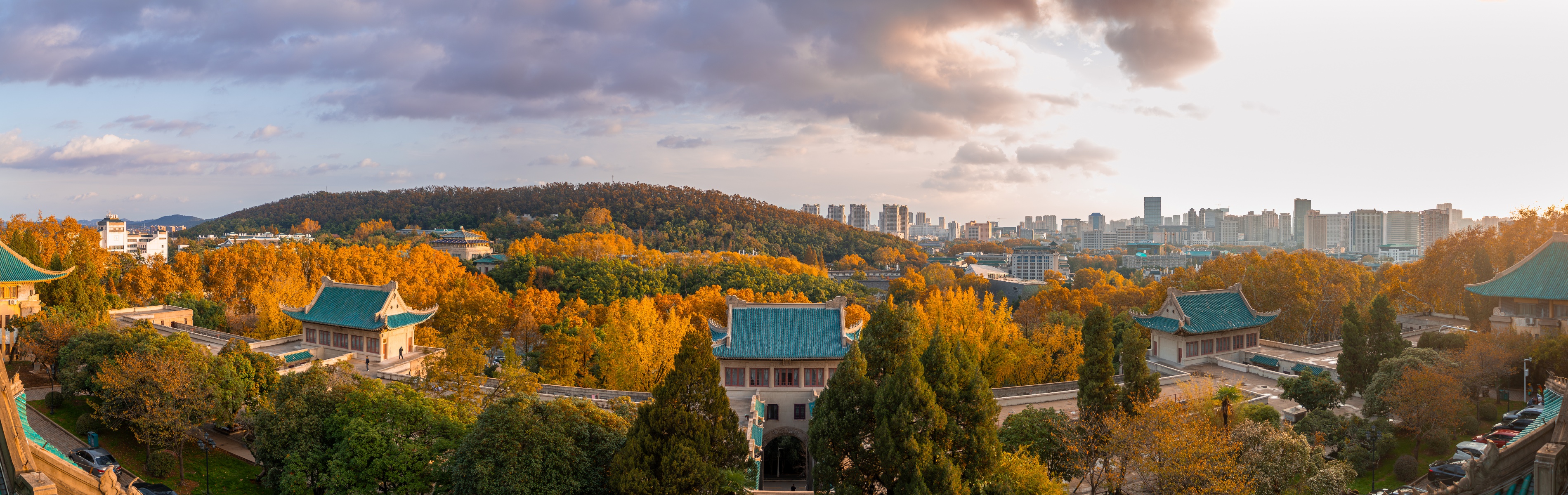 武汉大学樱顶阁楼维修完工，新瓦面与秋景相映成趣  第2张