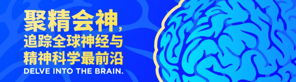 孕期抗癫痫药物使用风险：丙戊酸及其他药物对胎儿发育的影响  第1张