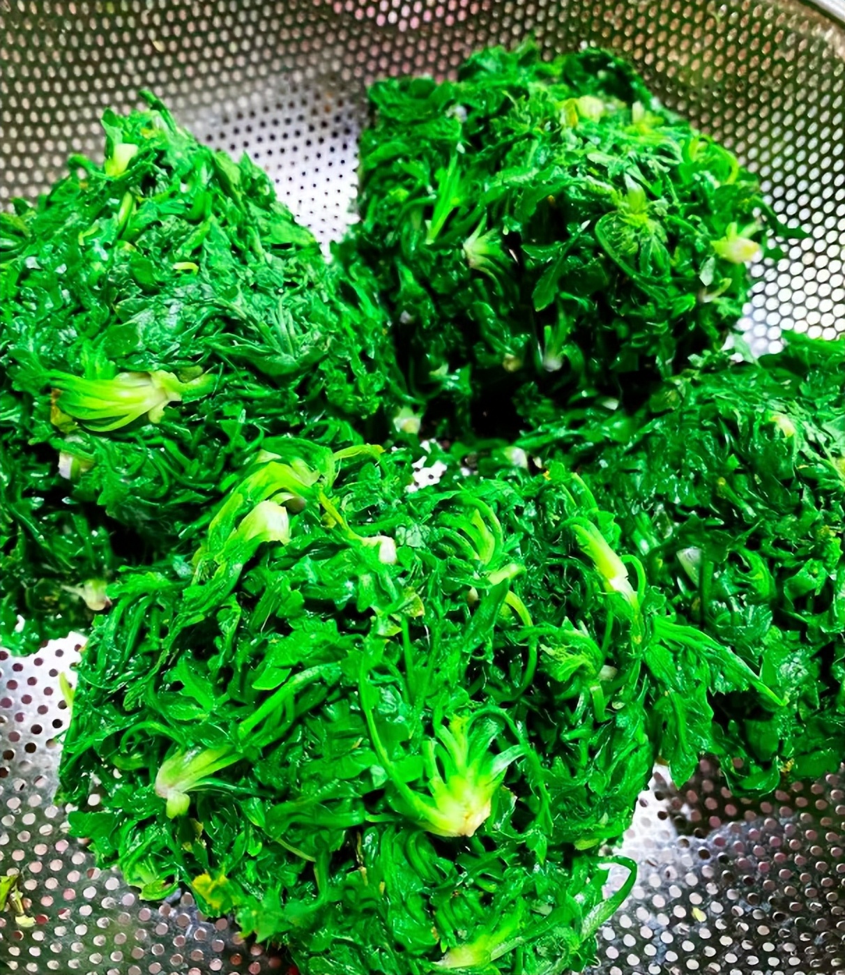 冬季不可错过的美味：荠菜的营养与多种吃法，荠菜猪肉饺子制作指南  第6张