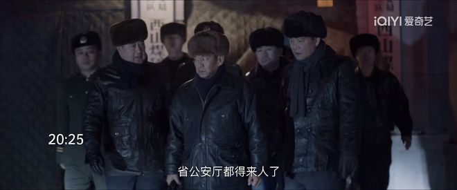 我是刑警：真实大案改编，演员阵容强大，剧情节奏紧凑，值得一看  第9张